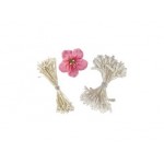 Pistil de fleurs - Blanc assorti