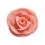 Roses roses pâles en glace royale - 1"