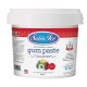 Gumpaste ( pastillage ) Satin Ice - Rouge 2 lb