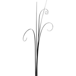 Beargrass noir Beargrass noir