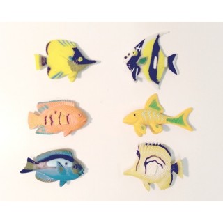 Poissons tropicaux Poissons tropicaux