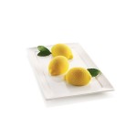 Moule Delizia Al Limone ( Délice au citron )