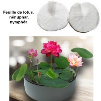 Moule Nervure Feuille de lotus, nénuphar, nymphéa