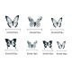 Papillons noirs et transparents
