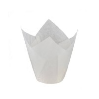 Moule en papier Grande Tulipe Blanche