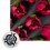 Très grande douille Rose 3D - NO56