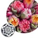 Très grande douille pour fleur 3D - N050