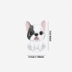 Pick Les petits chiens