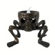 Lampe Crâne à Pattes et Main de squelette