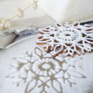 Poudre de velours Neige étincelante