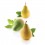 Moule Pera & Fico 115 ( Poire & figue )