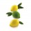 Moule Limone & Lime 120 ( Citron & Lime )