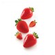 Moule Fragola 120 ( Fraise )