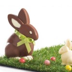 Moule Lapin 3D