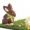 Moule Lapin 3D