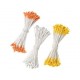 Pistilles de fleurs Orange, jaune, blanc