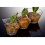 Verrine Gustav 6