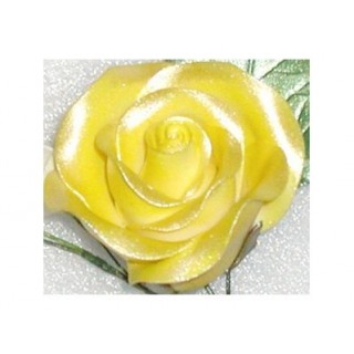 Peinture comestible - Jaune lustré Peinture comestible - Jaune lustré