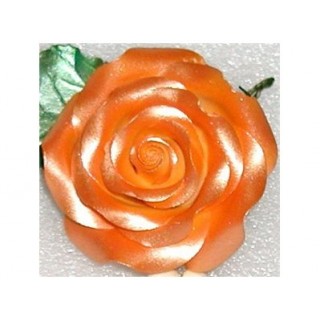 Peinture comestible - Orange lustré Peinture comestible - Orange lustré