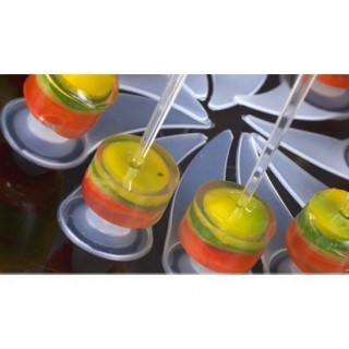 Ventouses Nippol Ventouses Nippol