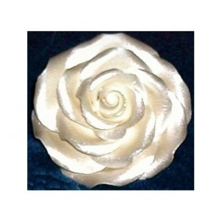 Peinture comestible - Perle lustré 4.5 oz Peinture comestible - Perle lustré 4.5 oz
