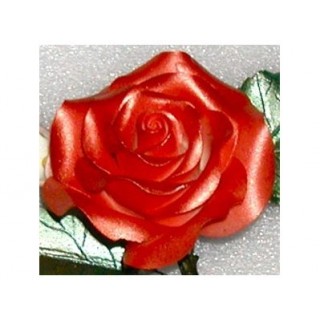 Peinture comestible - Rouge lustré 4.5 oz Peinture comestible - Rouge lustré 4.5 oz