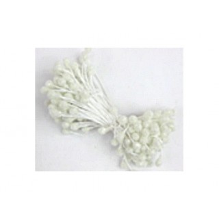 Gros pistil brillant - Blanc Gros pistil brillant - Blanc