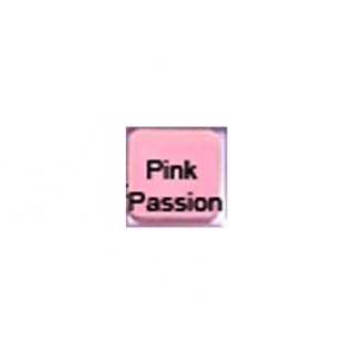 Recharge Palette Petal Dust - Pink Passion