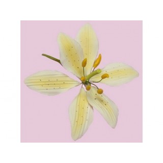 Lys Oriental en pastillage - Jaune Lys Oriental en pastillage - Jaune