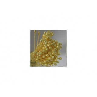 Pistil Jaune doré perlé Pistil Jaune doré perlé