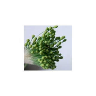 Pistil Pomme verte Pistil Pomme verte